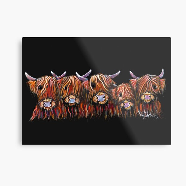 Scottish Highland Hairy Cows 'The Hairy Bunch of Coos' by Shirley MacArthur Metal Print