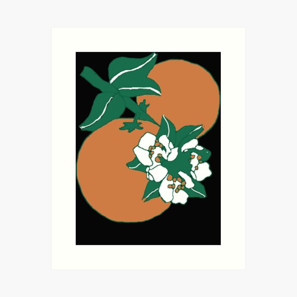 Florida Orange Blossom Art Print