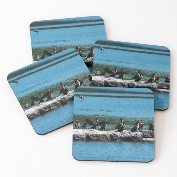Item preview, Double-crested Cormorant Flock designed and sold by BackyardBirder.