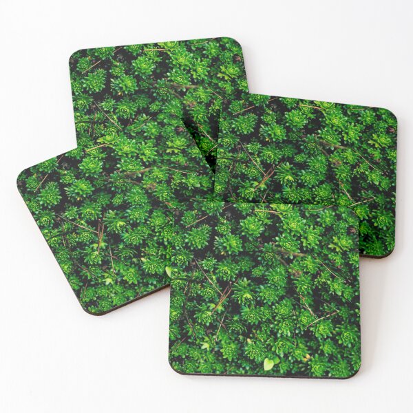 Item preview, Succulents designed and sold by Arc1.