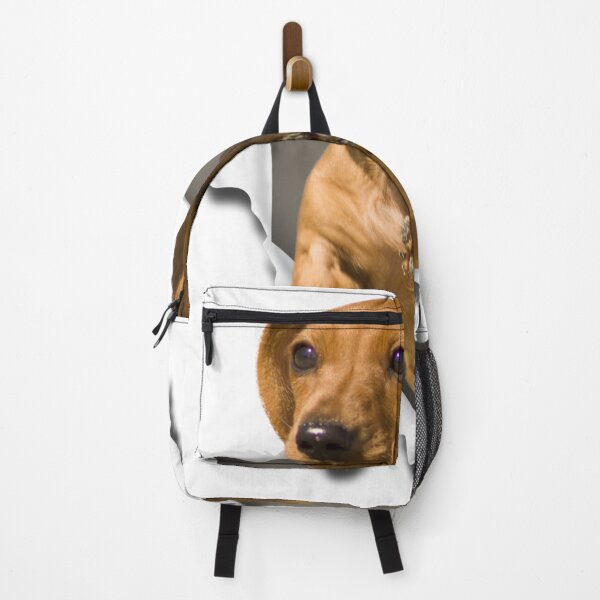 Item preview, Dachshund Art Funny Dachshund Dog Lover designed and sold by Teapot-art.