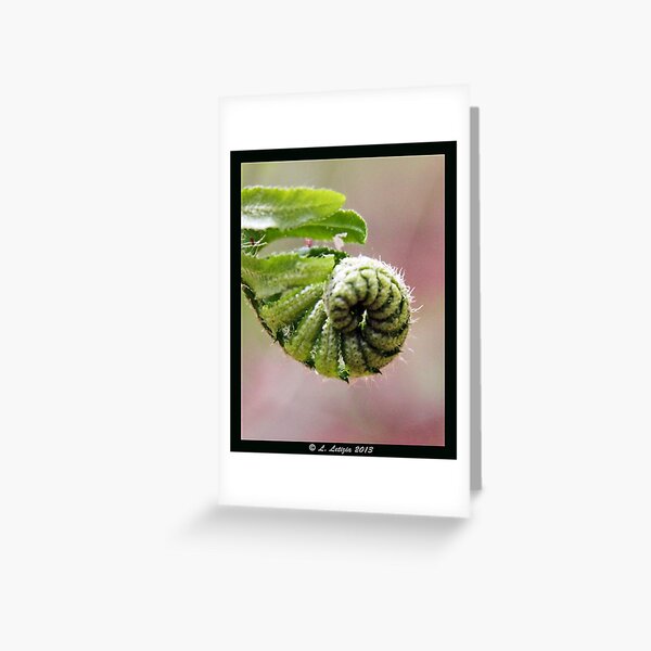 Item preview, Fiddlehead designed and sold by lletizia.