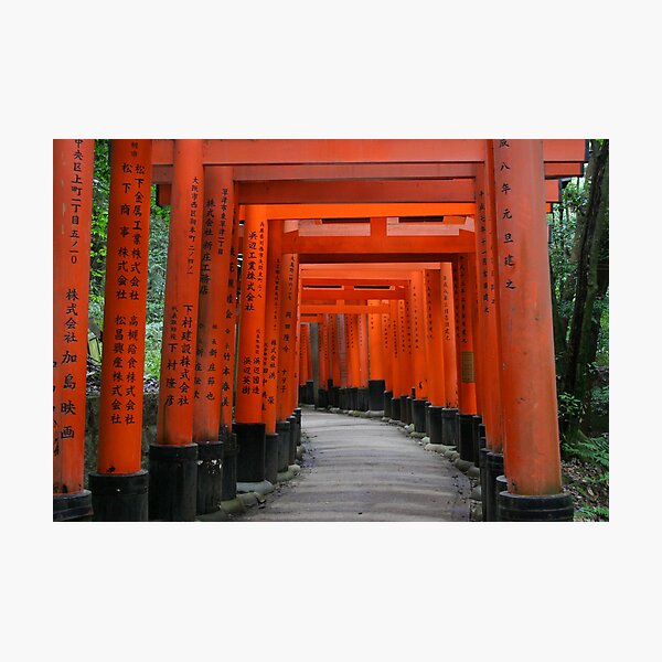 Torri Gates Photographic Print