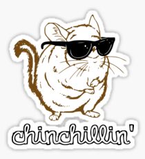 Chinchillin Sticker