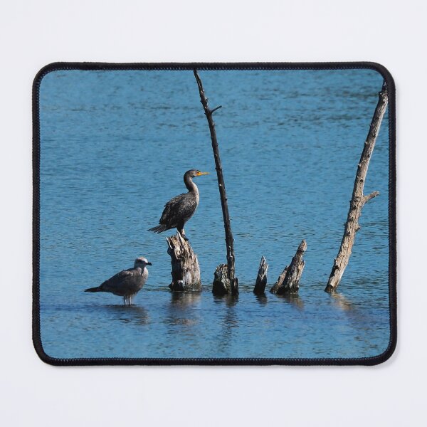 Item preview, Double-crested Cormorant And Gull On A Tree designed and sold by BackyardBirder.