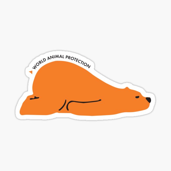 Bear sleeping Sticker