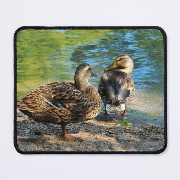 Item preview, Mallard Ducks On The Beach designed and sold by BackyardBirder.