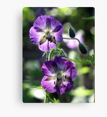 Translucent Canvas Print
