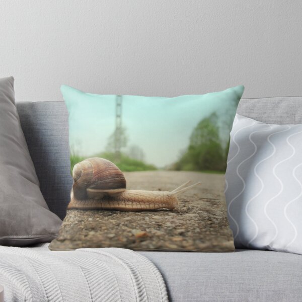 Item preview, Snail on the road designed and sold by ONiONAstudio.