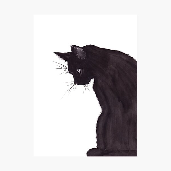 Black Cat Photographic Print