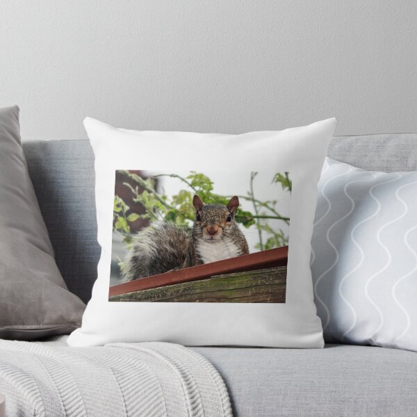 Item preview, Keeping Watch designed and sold by lletizia.
