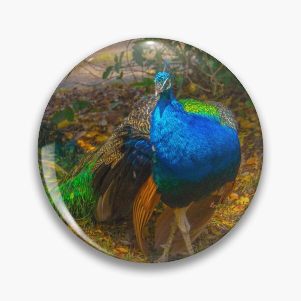 Item preview, The Prowling Peacock designed and sold by Steven Jodoin.