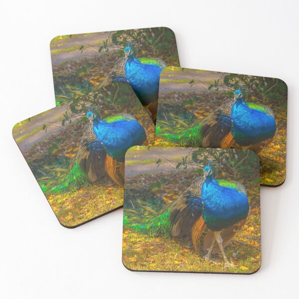 Item preview, The Prowling Peacock designed and sold by Steven Jodoin.