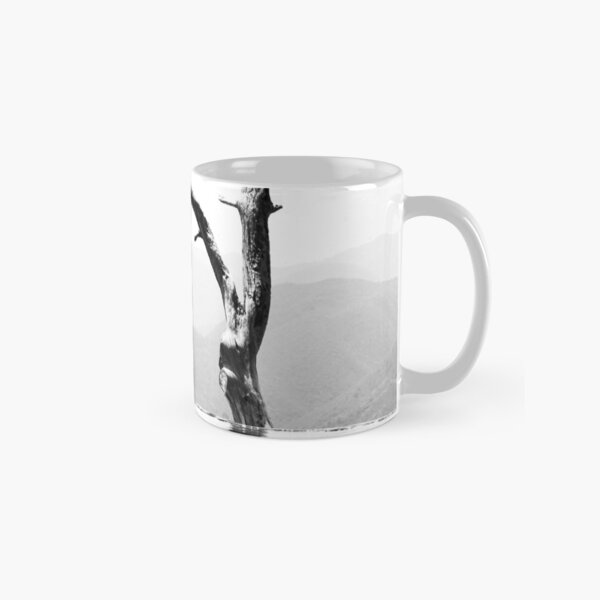 Lonely tree in black-and-white, Oaxaca, Mexico Classic Mug