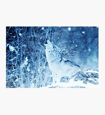 Lonely Wolf in the ice Phone Cover Photographic Print