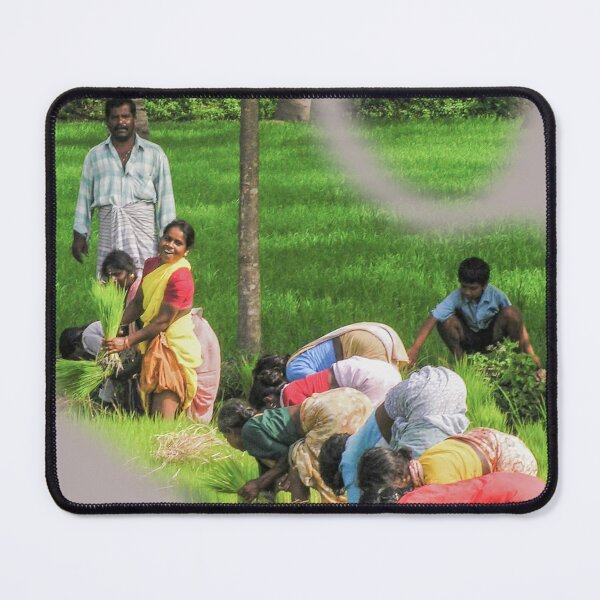 Item preview, Women planting rice designed and sold by indiafrankk.