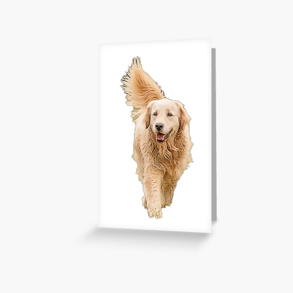 Item preview, Doggo - Golden Retriever designed and sold by Pavnud.