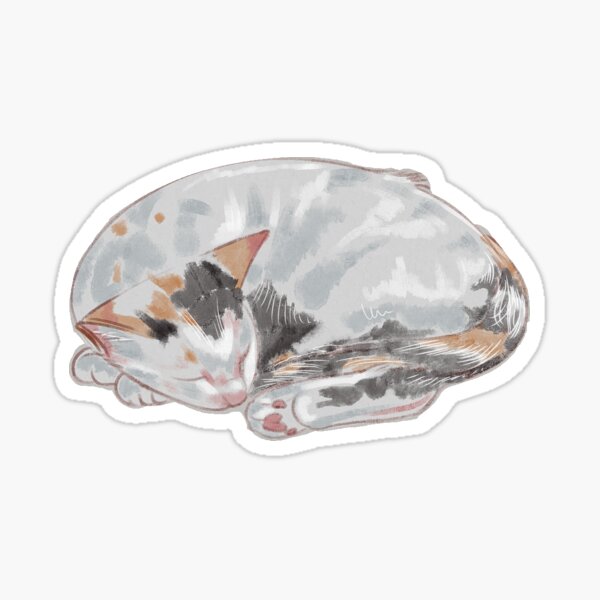Cat Sleep Sticker