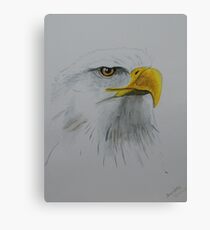 eagle Canvas Print