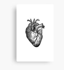 Vintage Heart Anatomy Metal Print