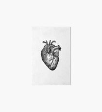 Vintage Heart Anatomy Art Board