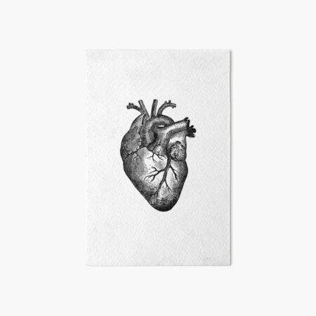 Vintage Heart Anatomy Art Board Print