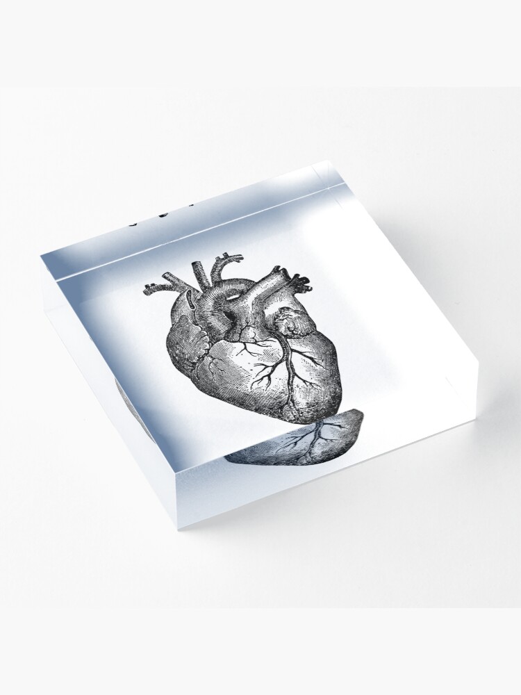 Alternate view of Vintage Heart Anatomy Acrylic Block