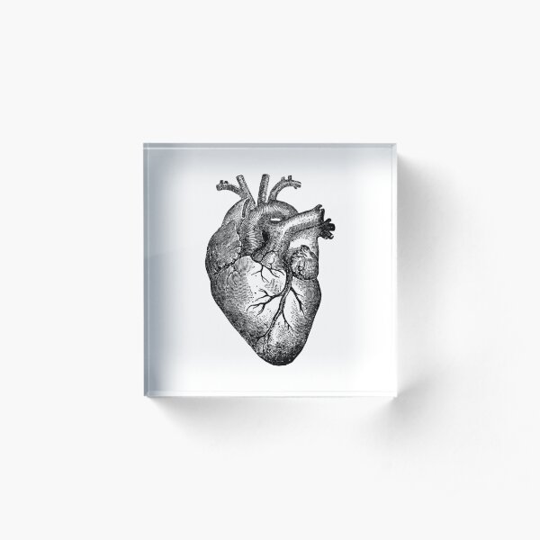Vintage Heart Anatomy Acrylic Block