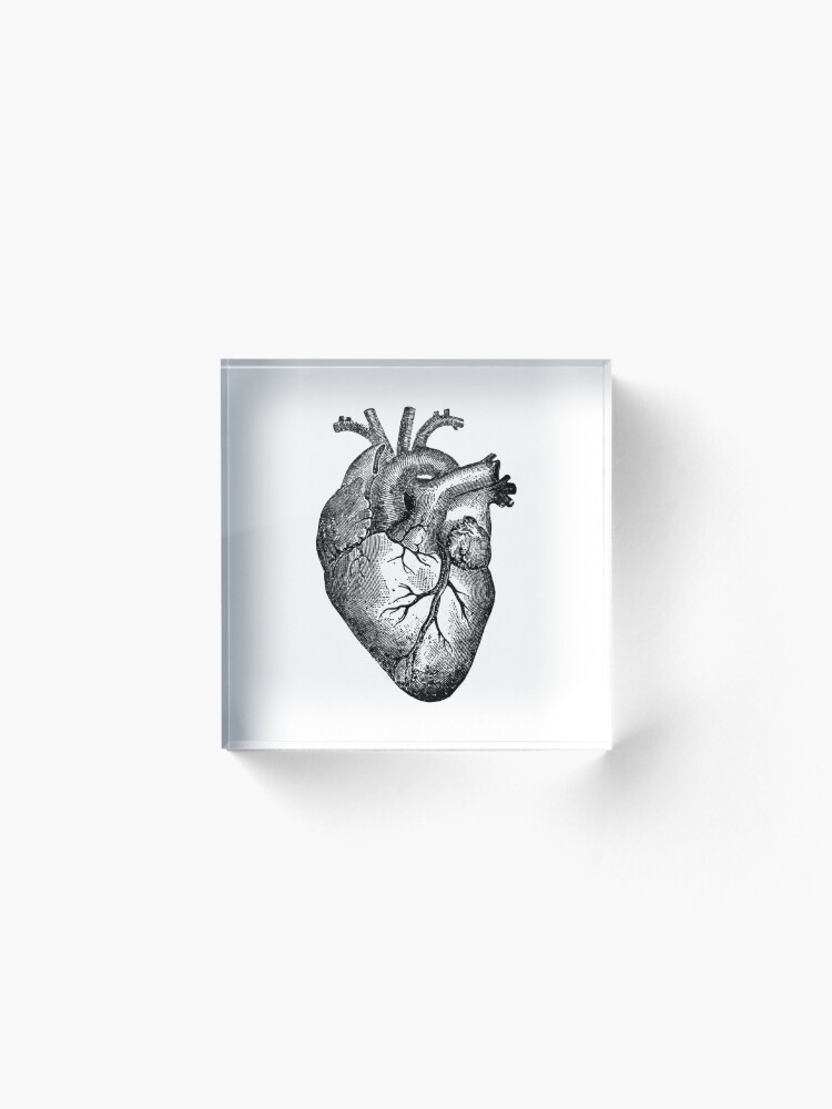 Alternate view of Vintage Heart Anatomy Acrylic Block