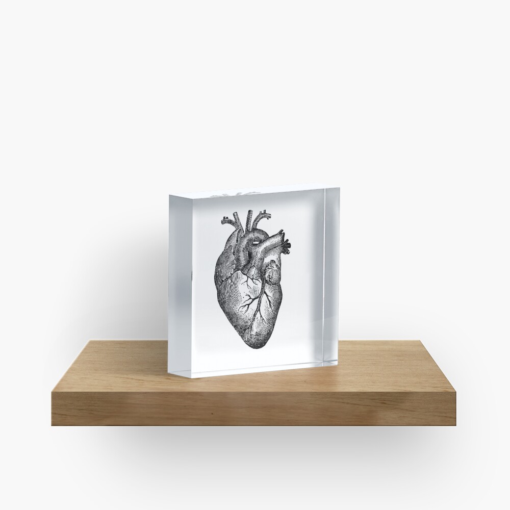 Vintage Heart Anatomy Acrylic Block