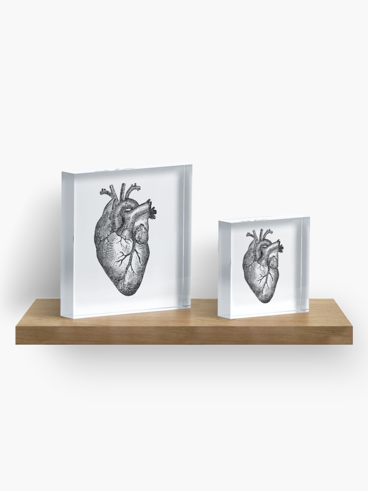 Alternate view of Vintage Heart Anatomy Acrylic Block