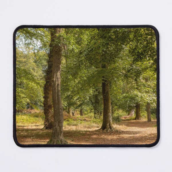Item preview, Woodbury Castle designed and sold by Dave Hare Photography.