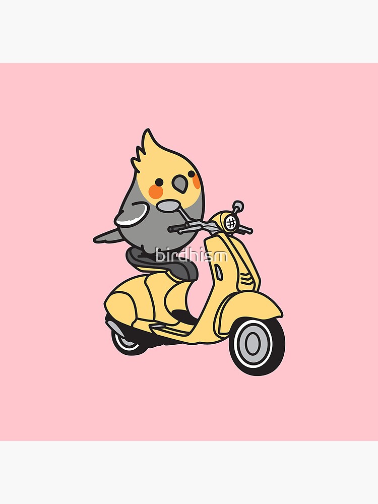 Scooter Chubby Cockatiel by birdhism