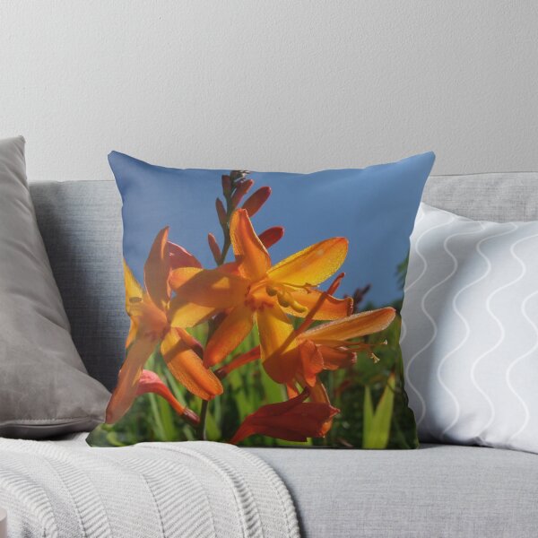 Item preview, Montbretia (Crocosmia) designed and sold by IOMWildFlowers.