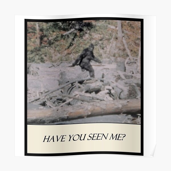 Bigfoot - Have You Seen Me Poster