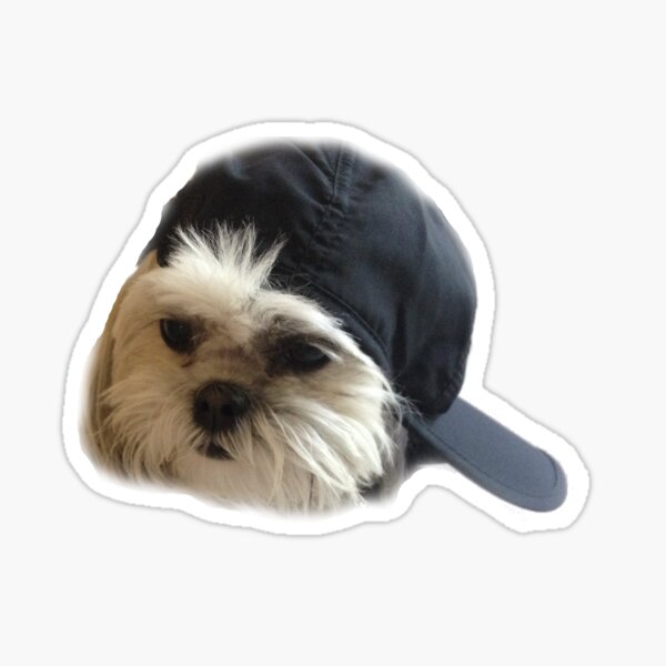 Doggie Gifts Merchandise Redbubble - dog wif hat roblox