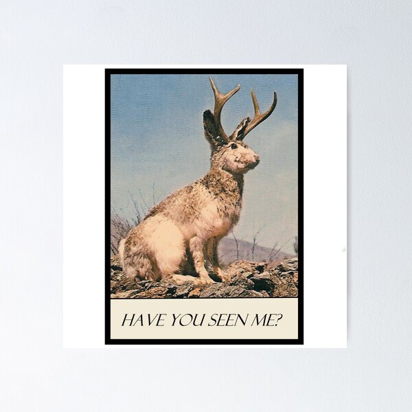 Item preview, Jackalope - Have You Seen Me? designed and sold by sunlightjay.