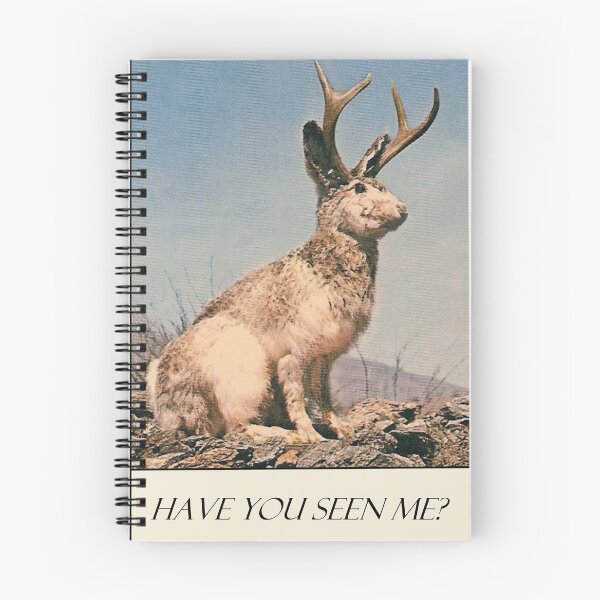 Item preview, Jackalope - Have You Seen Me? designed and sold by sunlightjay.