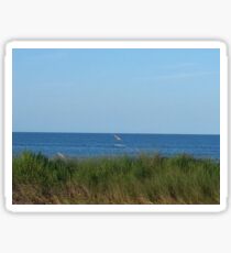 Ocean Dune Sticker
