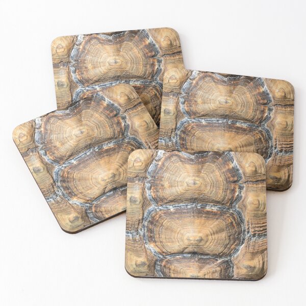Item preview, Tortoiseshell  designed and sold by Dave Hare Photography.