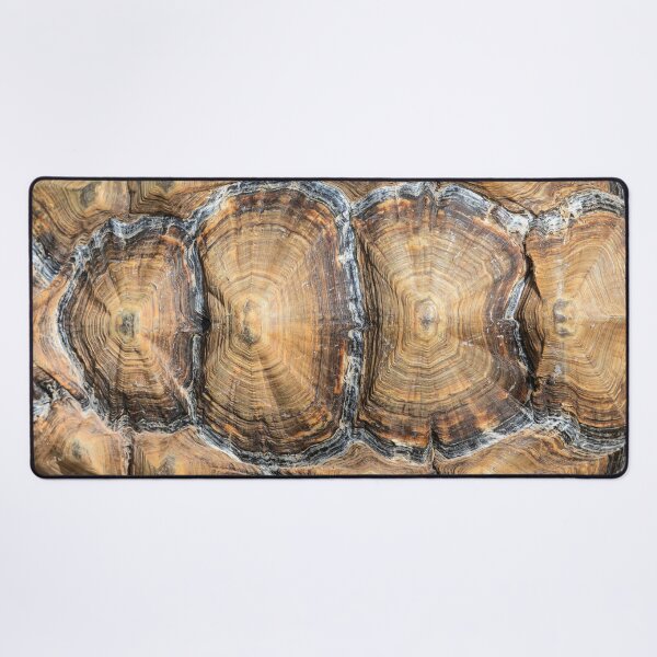 Item preview, Tortoiseshell designed and sold by Dave Hare Photography.