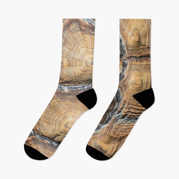 Item preview, Tortoiseshell  designed and sold by Dave Hare Photography.