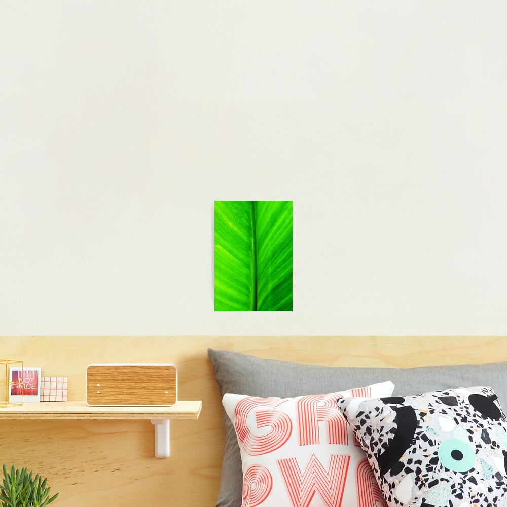 Item preview, Photographic Print designed and sold by chrishull.