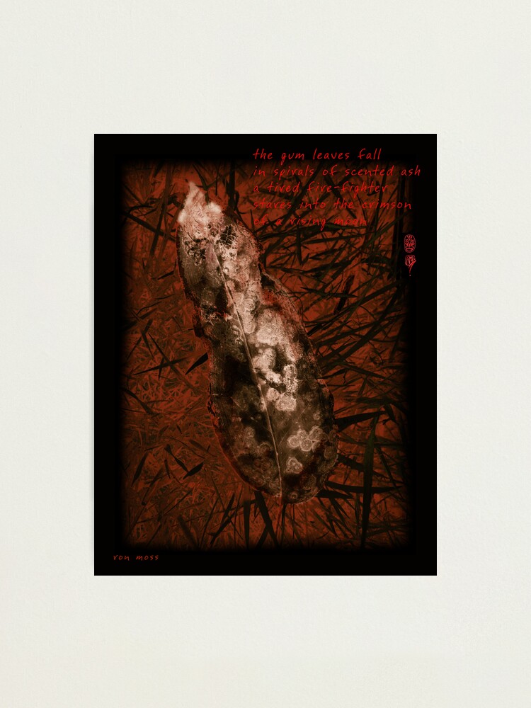 Alternate view of Crimson Moon Photographic Print
