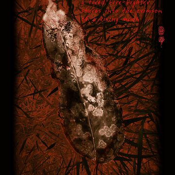 Artwork thumbnail, Crimson Moon by ronmoss