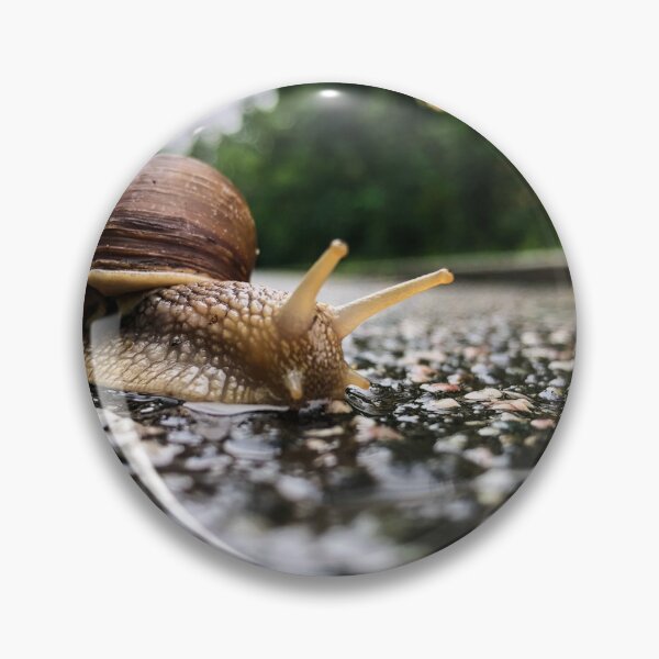 Item preview, It's SNAIL Season - Prague Czech Republic  designed and sold by passportpaige.