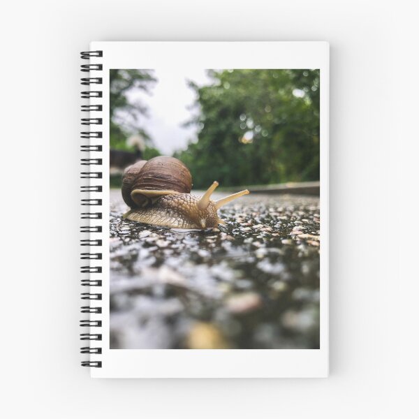 Item preview, It's SNAIL Season - Prague Czech Republic  designed and sold by passportpaige.