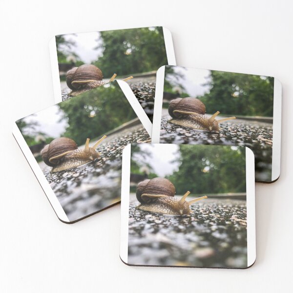 Item preview, It's SNAIL Season - Prague Czech Republic  designed and sold by passportpaige.