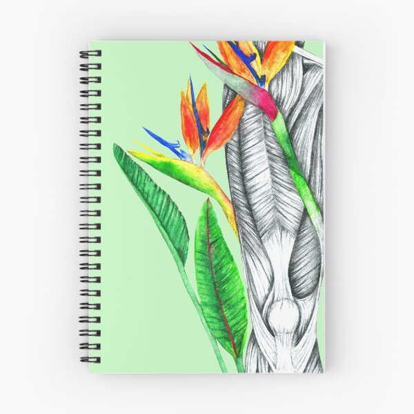 Item preview, Thigh and Patella with Bird of Paradise Flower designed and sold by SidsAnatomical.