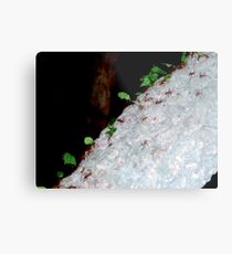 ANTZ Metal Print